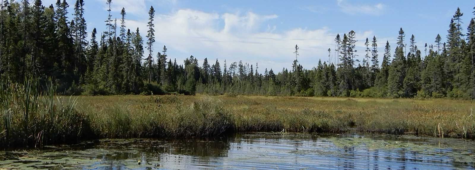 Écoresponsabilité CRE Laurentides