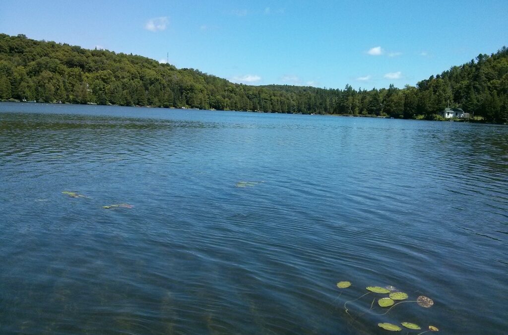 Lac Breton, 24 juillet 2014 Conseil régional de l'environnement des